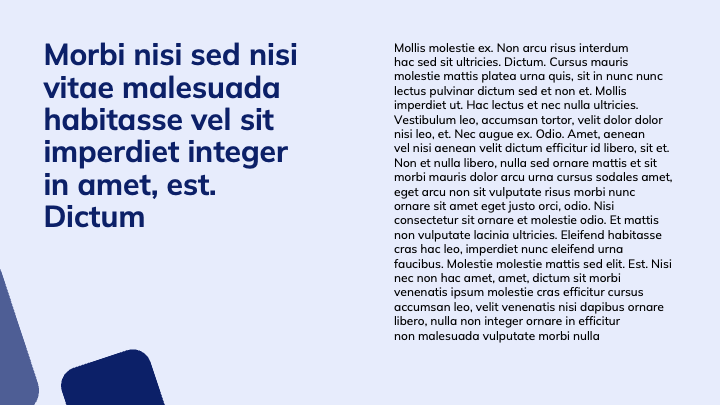 MellowForm Blue Professional slide 7